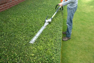 Hedge_Trimming